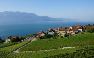 Lavaux